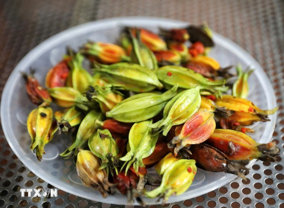 Chuẩn bị quả dành dành dùng để lên màu vàng óng cho bánh. (Ảnh: Việt Hùng/TTXVN)