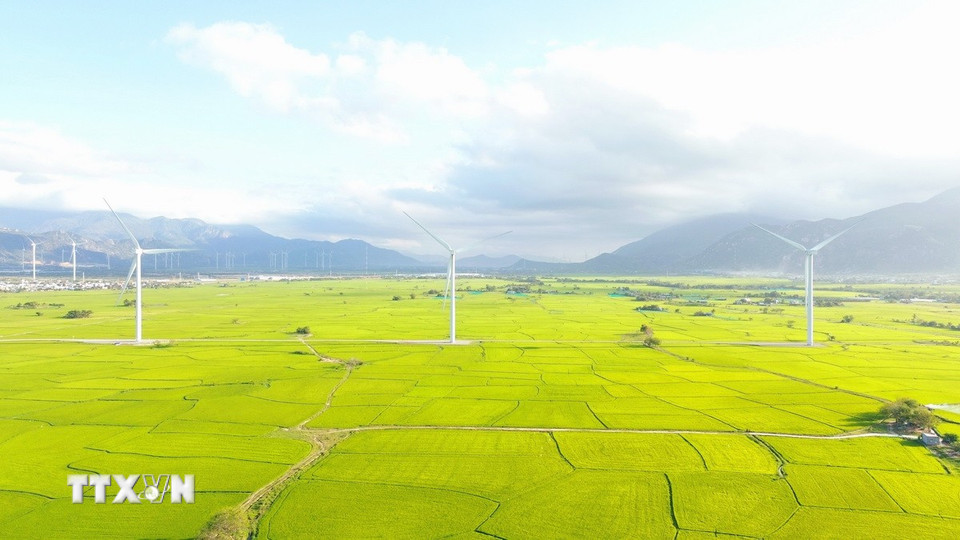 Cánh đồng điện gió Đầm Nại trải rộng trên diện tích gần 10ha thuộc địa bàn huyện Thuận Bắc và huyện Ninh Hải (Ninh Thuận) có 16 trụ turbine, mỗi trụ điện gió cao 115m. (Ảnh: Nguyễn Thành/TTXVN)