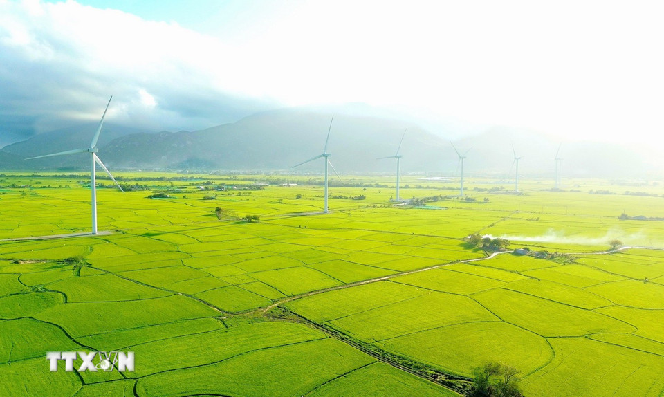 Bức tranh hài hòa giữa thiên nhiên và công nghệ của công trình điện gió Đầm Nại. (Ảnh: Nguyễn Thành/TTXVN)