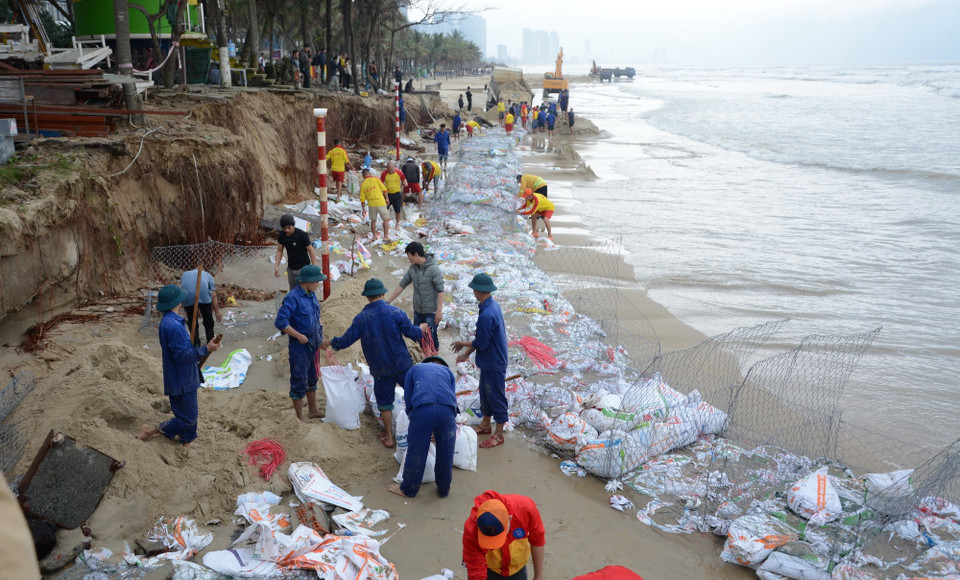 Đà Nẵng huy động hơn 200 nhân lực khẩn trương làm kè tạm chắn sóng, ngăn không cho sóng biển tiếp tục đánh vào bờ. (Ảnh: Văn Dũng/TTXVN)