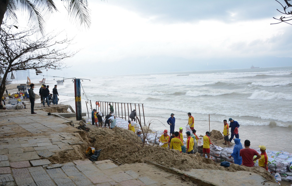 Khu vực bãi biển thuộc hai quận Sơn Trà và Ngũ Hành Sơn bị sóng xâm thực gây sạt lở với chiều dài khoảng 500m. (Ảnh: Văn Dũng/TTXVN)