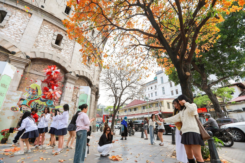 Sắc màu giao mùa của những hàng cây thay lá thu hút người dân đến lưu lại kỷ niệm. (Ảnh: Khánh Hòa/TTXVN)
