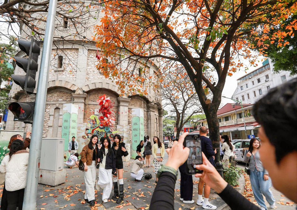 Sắc màu giao mùa của những hàng cây thay lá thu hút du khách. (Ảnh: Khánh Hòa/TTXVN)