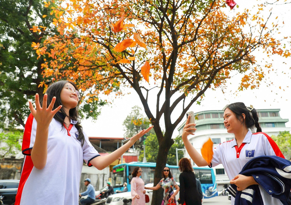 Các bạn trẻ lưu lại khoảnh khắc nên thơ trong sắc lá vàng của mùa cây thay lá. (Ảnh: Khánh Hòa/TTXVN)