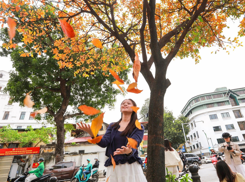 Các bạn trẻ lưu lại khoảnh khắc nên thơ trong sắc lá vàng của mùa cây thay lá. (Ảnh: Khánh Hòa/TTXVN)