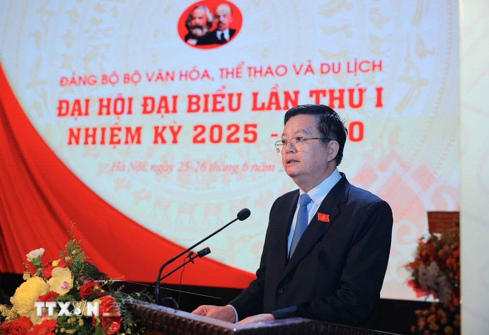 Uỷ viên Trung ương Đảng, Uỷ viên Ban Thường vụ Đảng uỷ Chính phủ, Phó Thủ tướng Chính phủ Mai Văn Chính phát biểu chỉ đạo. (Ảnh: Hoàng Hiếu/TTXVN)