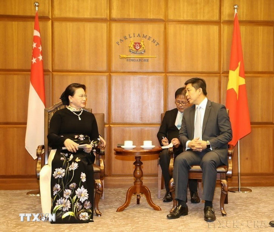 Chủ tịch Quốc hội Nguyễn Thị Kim Ngân hội đàm với Chủ tịch Quốc hội Cộng hòa Singapore Tan Chuan Jin tại Trụ sở Quốc hội Singapore, ngày 28/11/2017. (Ảnh: Trọng Đức/TTXVN)