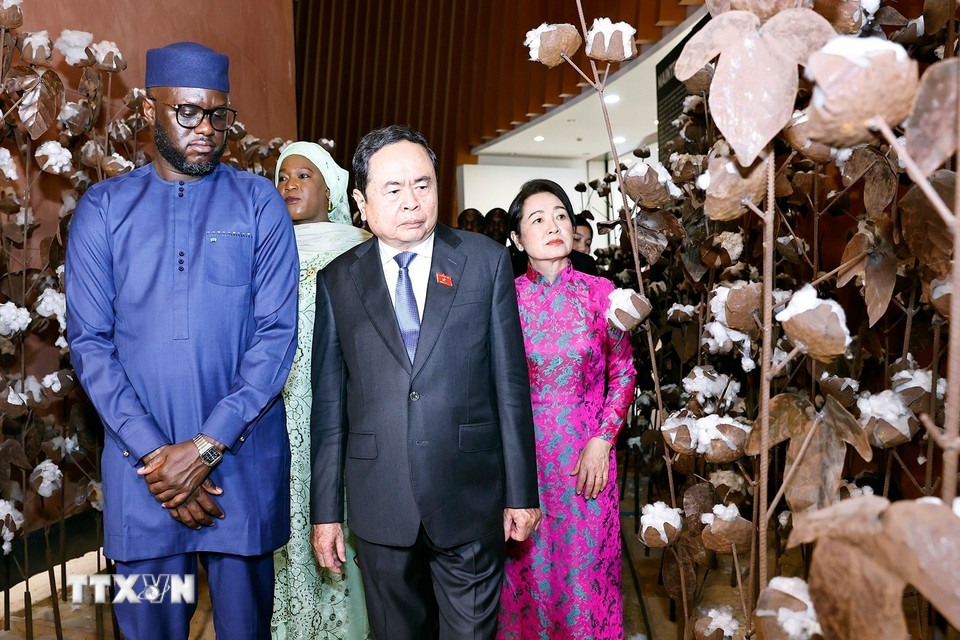 Chủ tịch Quốc hội Trần Thanh Mẫn và Phu nhân tham quan Bảo tàng Văn minh châu Phi. (Ảnh: Doãn Tấn/TTXVN)