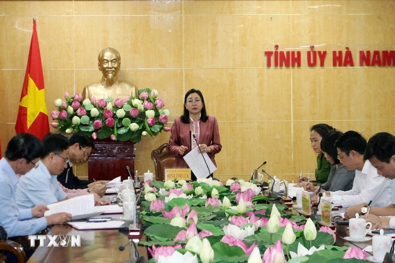Phó Bí thư Thường trực Tỉnh ủy Hà Nam Đinh Thị Lụa phát biểu tại Hội nghị. (Ảnh: Nguyễn Chinh/TTXVN)