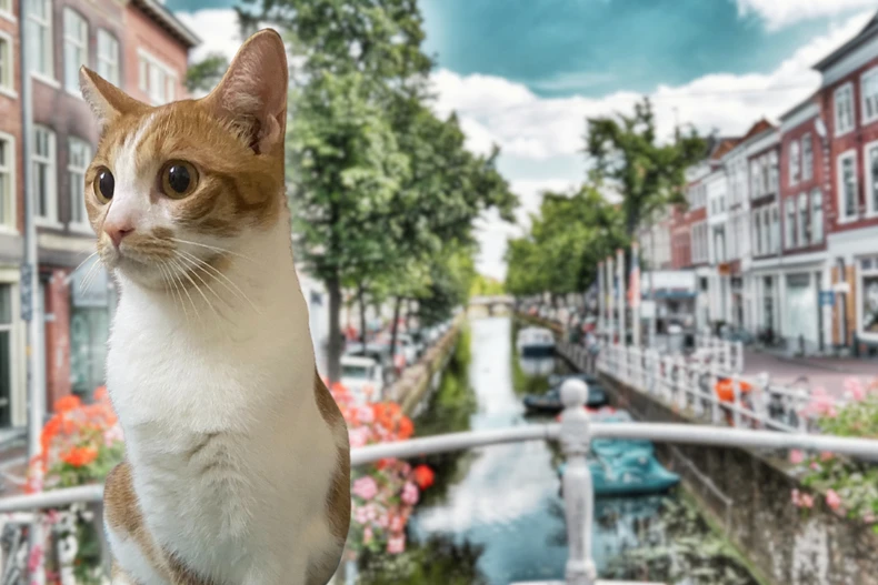 Thành phố Amsterdam xinh đẹp với những kênh đào nhỏ đan xen. (Nguồn: Vietnam+)