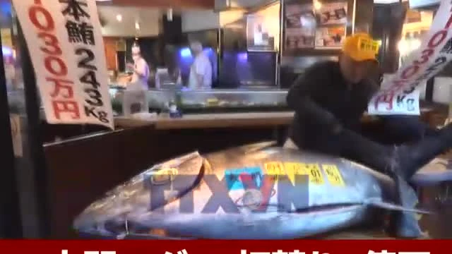 Nhật Bản: Kỷ lục đấu giá cá ngừ vây xanh 3,2 triệu USD