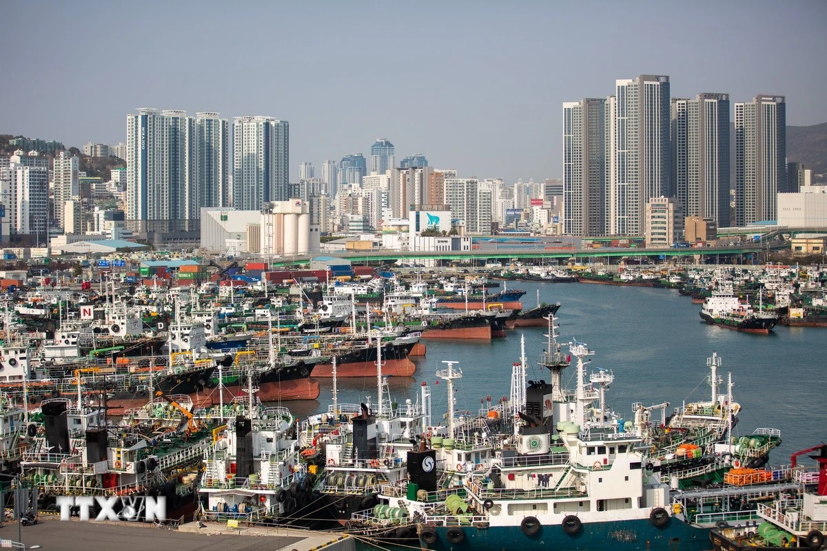 FTA Hàn Quốc - ASEAN Hướng Tới Kinh Tế Số Và Chuỗi Cung Ứng Chiến Lược