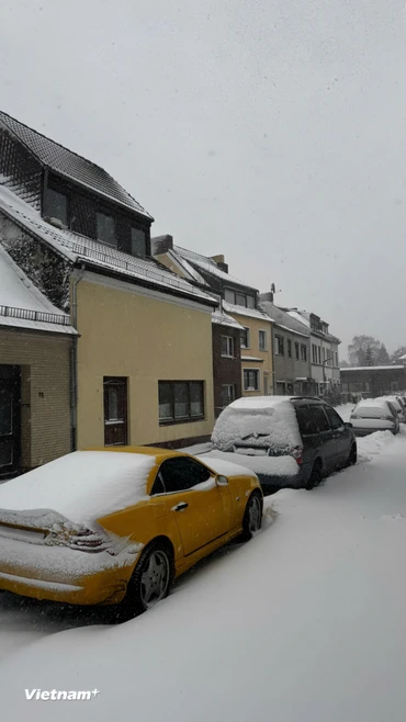 Bão tuyết bao phủ phần lớn lãnh thổ nước Đức