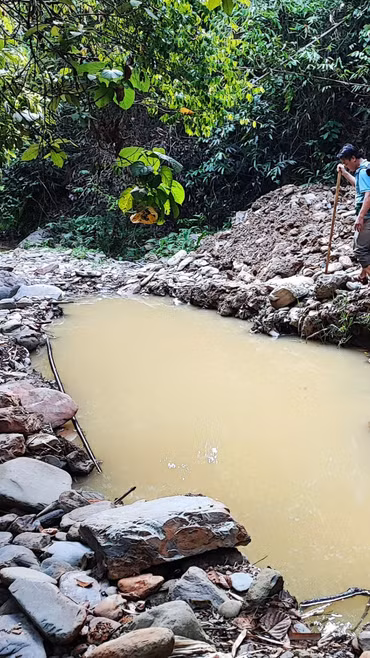 Công trường của "vàng tặc” giữa đại ngàn: Rừng phòng hộ 'chảy máu'