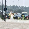 Ảnh minh họa. (Nguồn: Hoài Nam/Vietnam+)