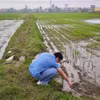 Dự án “Tích hợp mô hình vật lý và mô hình dựa trên dữ liệu trong giám sát và dự báo xâm nhập mặn phục vụ phát triển nông nghiệp xanh tại một số khu vực ven biển Đồng bằng sông Hồng” hướng tới xây dựng hệ thống giám sát và dự báo tích hợp đa công nghệ. (Ảnh: VinFuture)