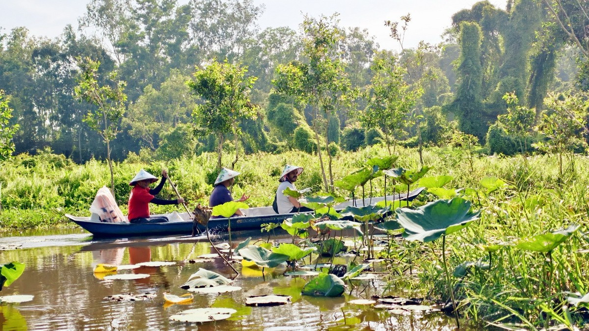 Rừng tràm Trà Sư Khách du lịch quốc tế tham quan rừng tràm Trà Sư