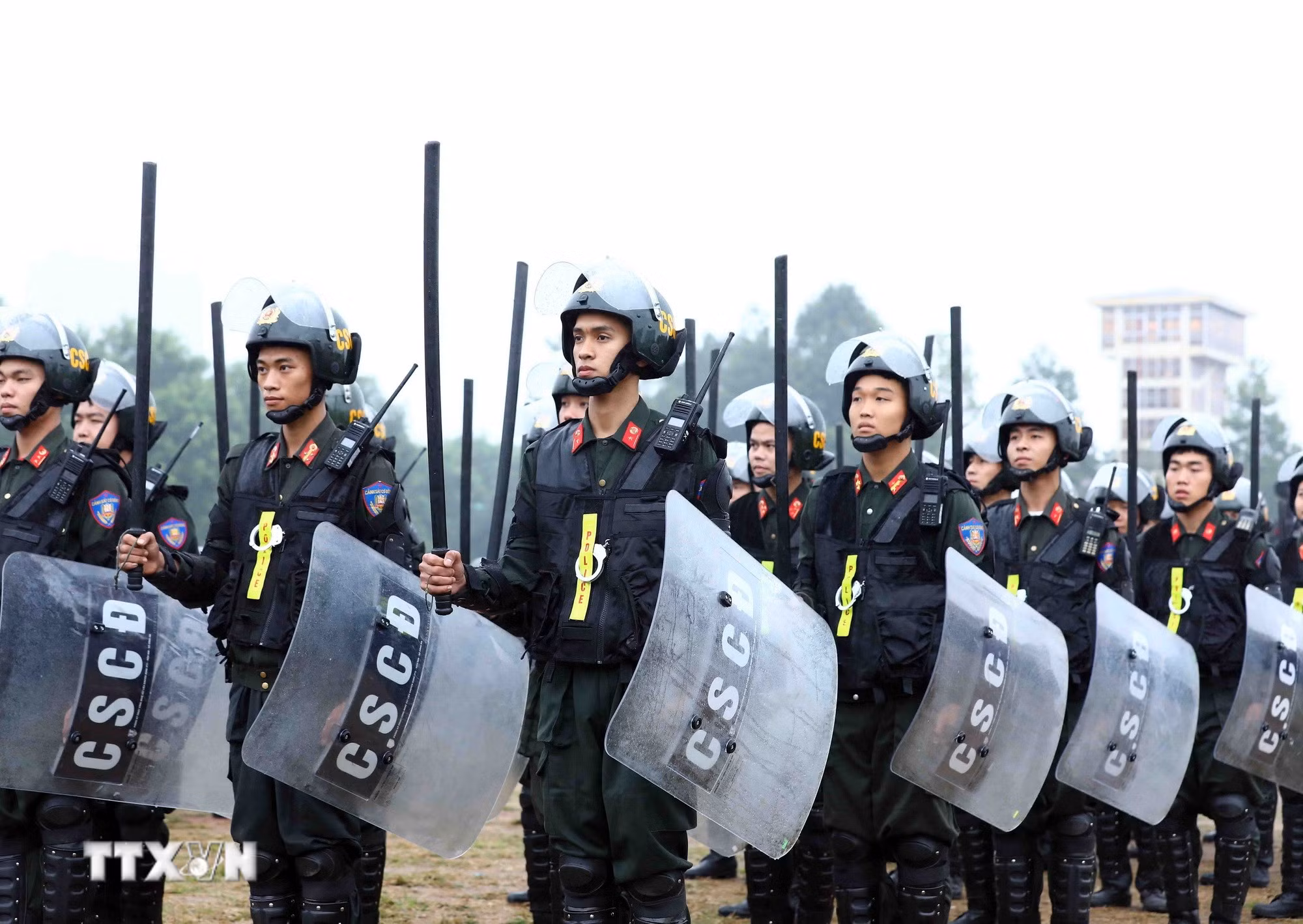ttxvn-1809-gin-giu-hoa-binh-8.jpg
