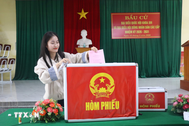 ttxvn-cu-tri-ha-tinh-no-nuc-di-bau-cu-8643123.jpg