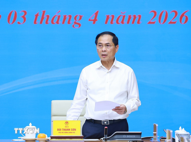 ttxvn-thu-tuong-chu-tri-hop-ban-chi-dao-quoc-gia-ve-hoi-nhap-quoc-te-0304-4.jpg