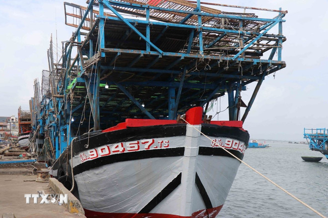 ttxvn-da-nang-tai-co-cau-doi-tau-thuyen-giam-thieu-phuong-tien-khai-thac-ven-bo-2202-3.jpg