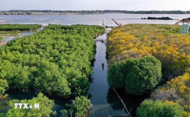 “Chuyển đổi số-xanh”: Động lực phát triển doanh nghiệp trong kỷ nguyên mới ttxvn-pu-cha-hue-3003.jpg