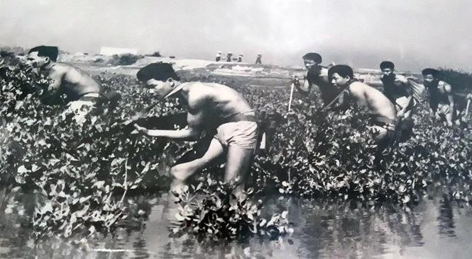 Đặc công hải quân luyện tập đánh địch tại căn cứ Vĩnh Linh, Quảng Trị. (Ảnh: Tư liệu/TTXVN)