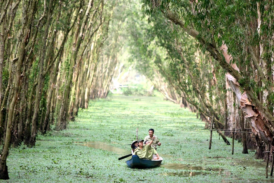 Cán bộ Chi cục Kiểm lâm An Giang phối hợp với Ban Quản lý rừng tràm Trà Sư đi tuần tra bảo vệ rừng. (Ảnh: Vũ Sinh/TTXVN)