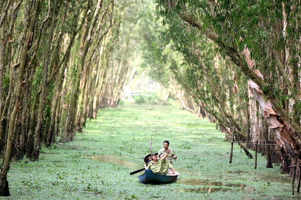 Cán bộ Chi cục Kiểm lâm An Giang phối hợp với Ban Quản lý rừng tràm Trà Sư đi tuần tra bảo vệ rừng. (Ảnh: Vũ Sinh/TTXVN)