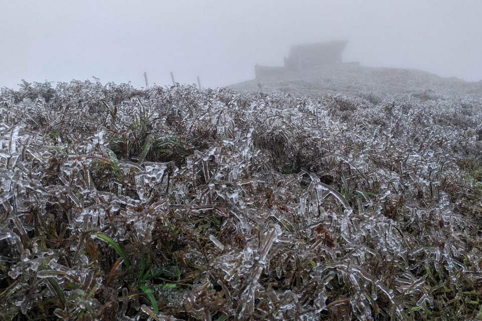 Tại thời điểm 13 giờ trưa 20/2, nhiệt độ đo được tại Trạm Khí tượng Mẫu Sơn là -0,4 độ C, trời đang mưa nhỏ và băng giá đã xuất hiện từ sáng nay. (Ảnh: Anh Tuấn/TTXVN)