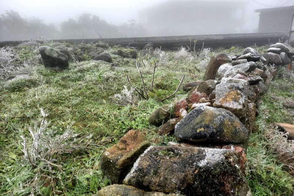 Băng giá xuất hiện trên những ngọn cỏ ở đỉnh Mẫu Sơn. (Ảnh: Anh Tuấn/TTXVN)