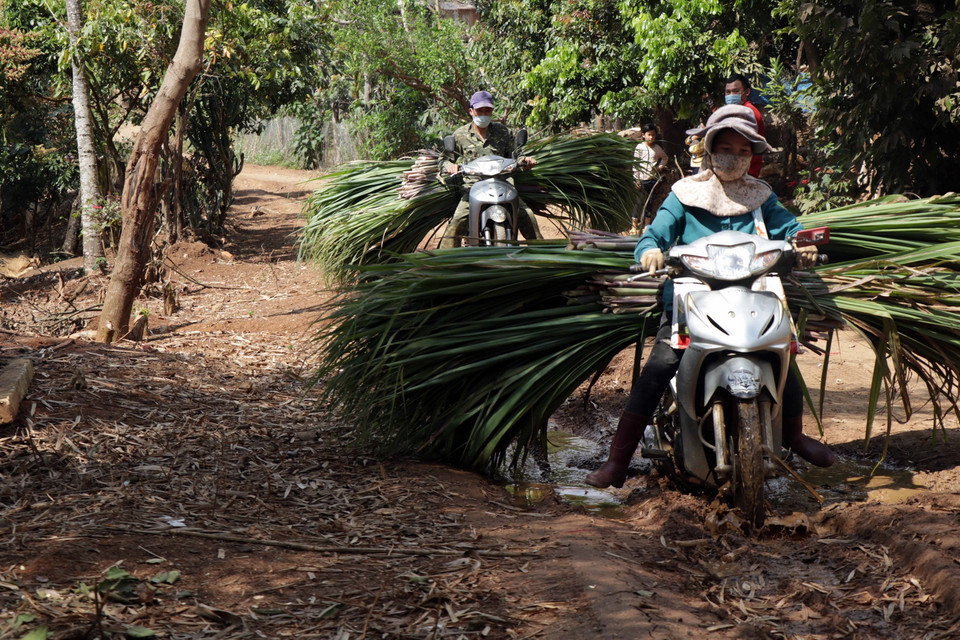Tuyến đường giao thông tại bản tái định cư Quỳnh Sơn, xã Cò Nòi, huyện Mai Sơn, tỉnh Sơn La bị xuống cấp, ảnh hưởng đến việc đi lại của người dân. (Ảnh: Hữu Quyết/TTXVN)
