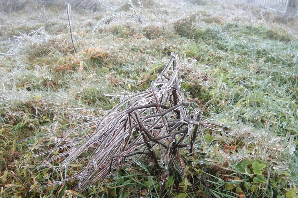  Từ nay cho đến ngày 22/2, Lạng Sơn vẫn tiếp tục xảy ra rét đậm, rét hại, nhiệt độ thấp nhất từ 3-6 độ C, vùng núi cao nhiệt độ khoảng 0 độ C; khả năng vẫn tiếp tục xảy ra băng giá và mưa tuyết. (Ảnh: Anh Tuấn/TTXVN)