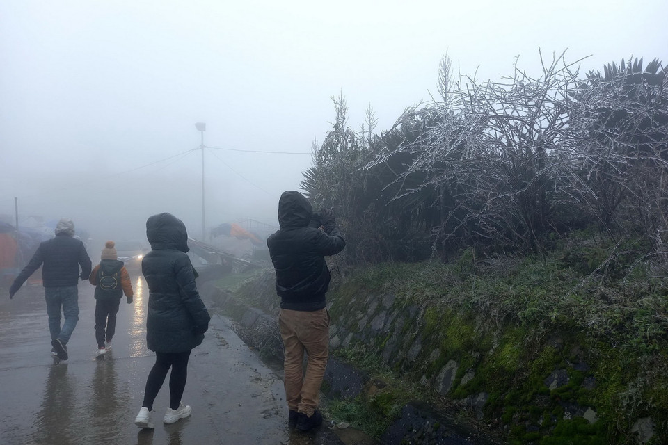  Khu du lịch Mẫu Sơn đã xuất hiện băng giá thu hút nhiều du khách. (Ảnh: Anh Tuấn/TTXVN)