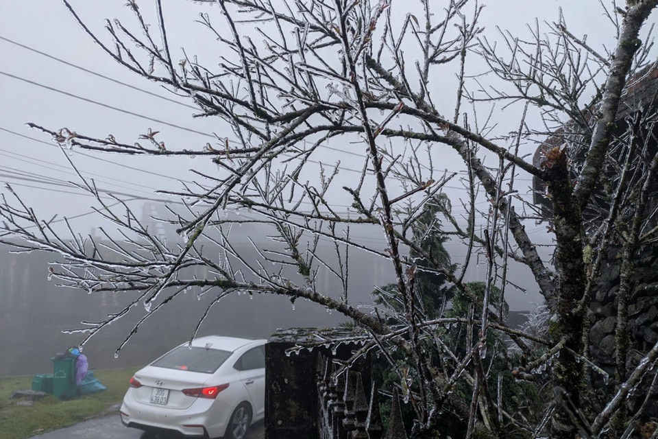 Cung đường lên đỉnh núi Mẫu Sơn nhỏ, hẹp, có nhiều đoạn cua gấp, thêm vào đó thời tiết lạnh giá, có mưa phùn và sương mù bao phủ dày đặc đang gây nhiều khó khăn cho các phương tiện giao thông khi lưu thông. (Ảnh: Anh Tuấn/TTXVN)