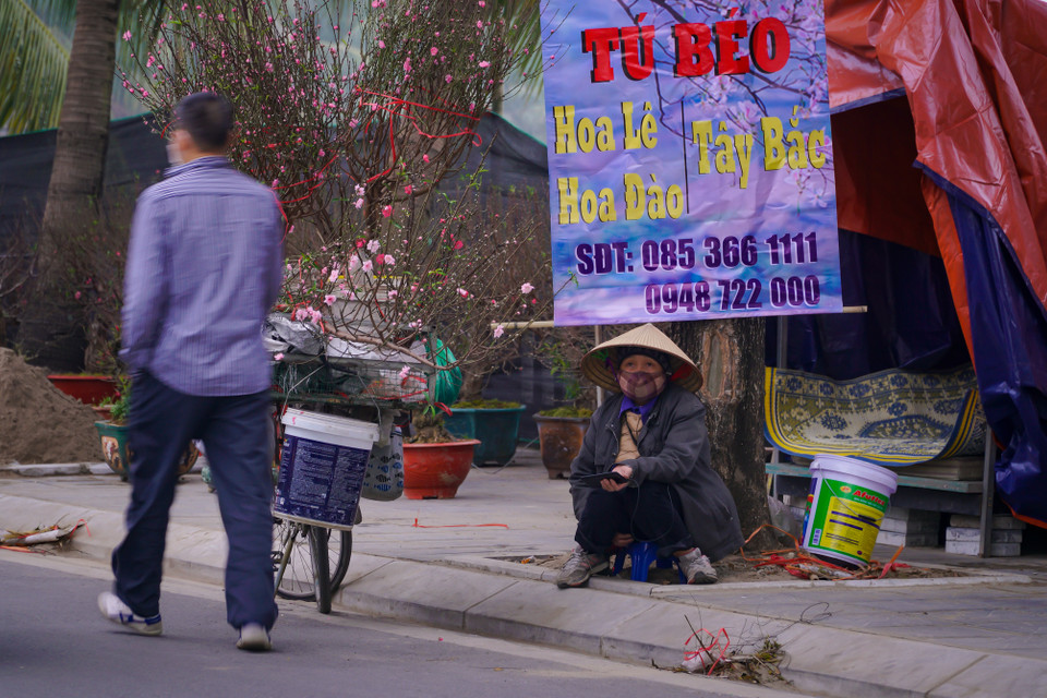 Bà Thanh Tú, người kinh doanh hoa đào cho biết: 'Năm nay tôi chỉ dám nhập lượng hàng bằng khoảng 1/2 so với những năm trước vì lo ngại bán chậm. Đến thời điểm hiện tại lượng khách mua hàng vẫn rất ít.' (Ảnh: Minh Hiếu/Vietnam+)