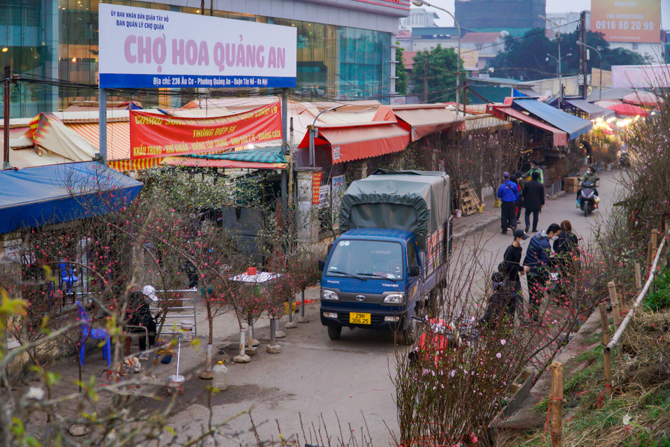 Khu vực chợ hoa Quảng An dịp cận Tết vốn tập nập, năm nay cũng 'kém sắc' hơn nhiều. (Ảnh: Minh Hiếu/Vietnam+)
