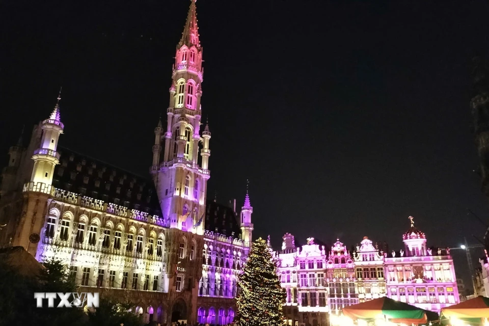 Quảng trường Lớn - Grand Place với cây thông khổng lồ ở thủ đô Brussels lung linh trong sắc màu Giáng sinh. (Ảnh: Hương Giang/TTXVN)