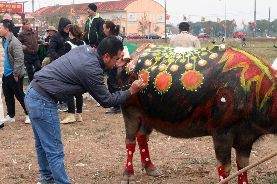 Họa sỹ thể hiện ý tưởng trên mình trâu. (Ảnh: Nguyễn Chinh/TTXVN)