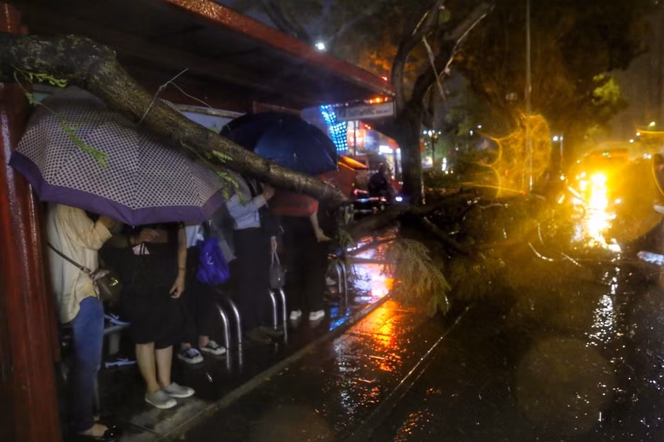 Cây đổ ngay trạm xe buýt trên phố Thái Hà, quận Đống Đa, gây nguy hiểm cho người đi đường. (Ảnh: Tuấn Đức/TTXVN)