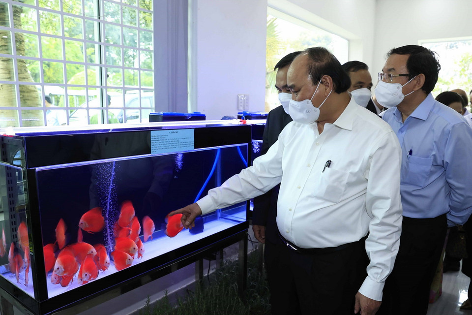 Một mô hình nuôi cá tại Khu Nông nghiệp công nghệ cao Thành phố Hồ Chí Minh. (Ảnh: Thống Nhất/TTXVN)