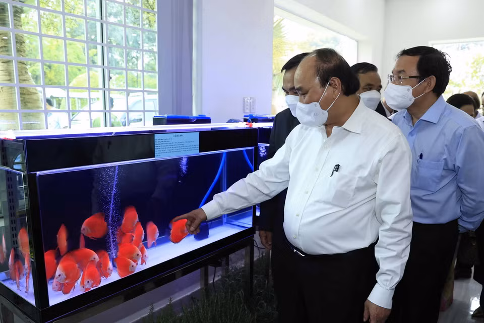 Một mô hình nuôi cá tại Khu Nông nghiệp công nghệ cao Thành phố Hồ Chí Minh. (Ảnh: Thống Nhất/TTXVN)