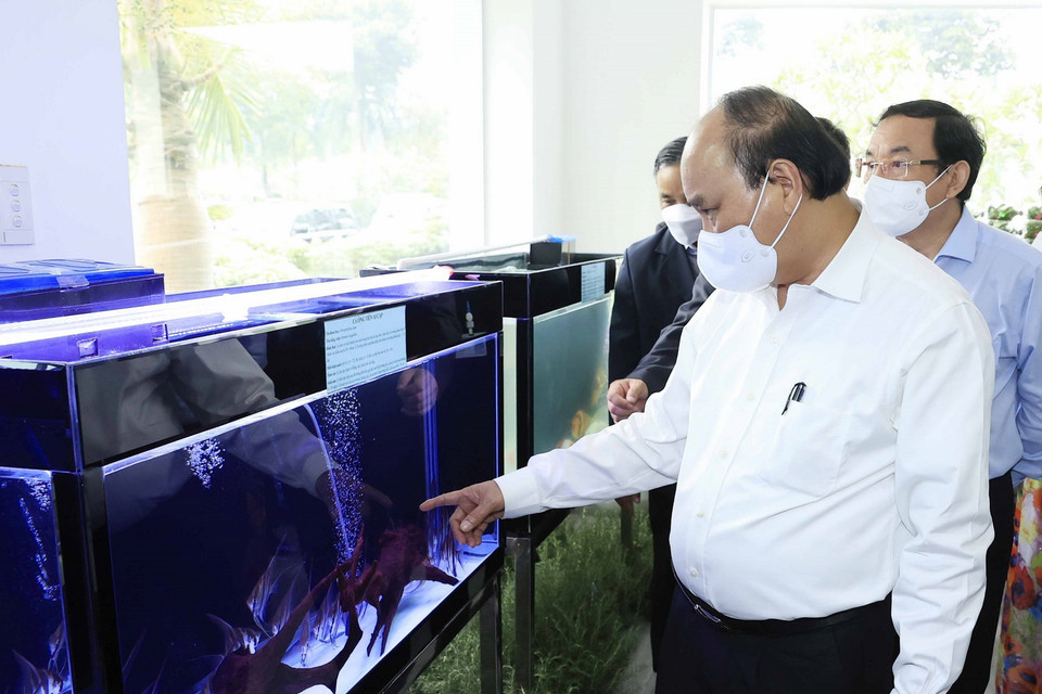 Chủ tịch nước Nguyễn Xuân Phúc thăm quan mô hình nuôi trồng thủy sản tại Khu Nông nghiệp công nghệ cao Thành phố Hồ Chí Minh. (Ảnh: Thống Nhất/TTXVN)
