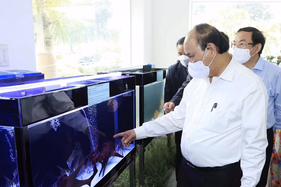 Chủ tịch nước Nguyễn Xuân Phúc thăm quan mô hình nuôi trồng thủy sản tại Khu Nông nghiệp công nghệ cao Thành phố Hồ Chí Minh. (Ảnh: Thống Nhất/TTXVN)