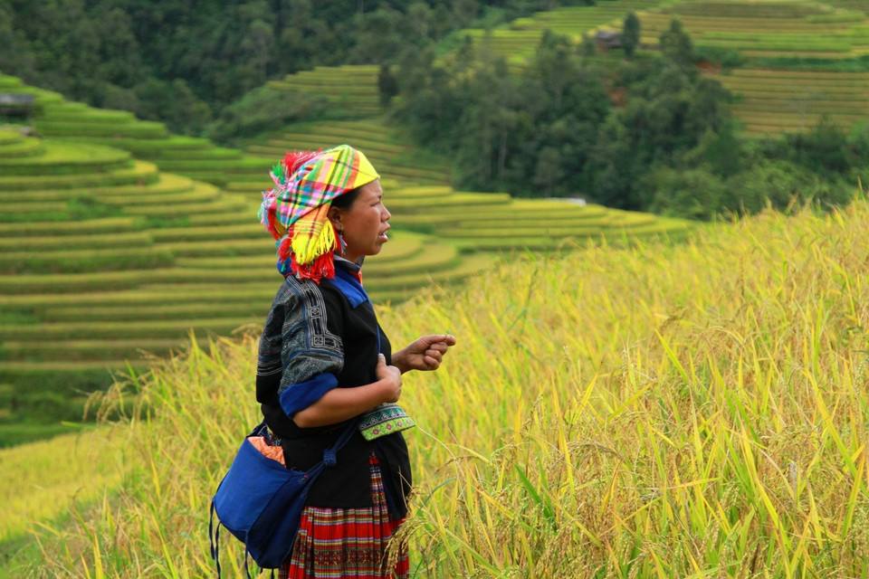 Người Mông ngóng dù... (Ảnh: Xuân Mai/Vietnam+)