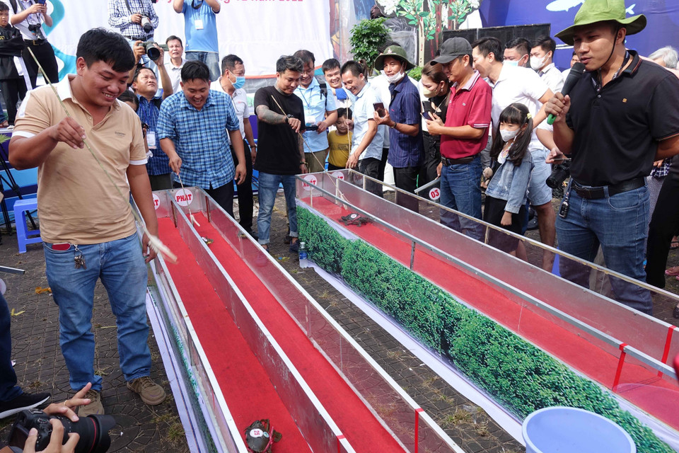 Trò chơi đua của tốc độ lần đầu được tổ chức tại vùng đất được xem là 'thủ phủ cua.' (Ảnh: Huỳnh Anh/TTXVN)