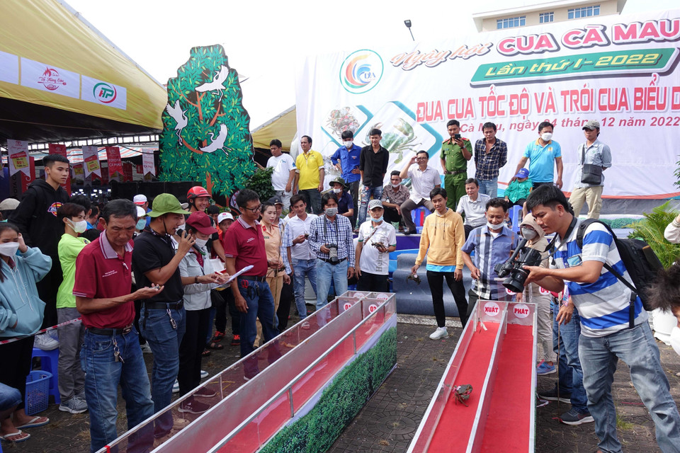 Trò chơi đua cua tốc độ thu hút rất đông du khách đến xem.(Ảnh: Huỳnh Anh/TTXVN)