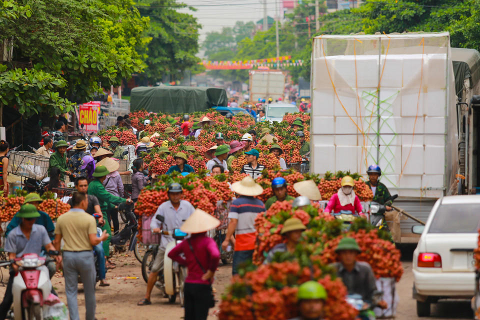 Thế nhưng, lượng phương tiện vận chuyển vải đi các tỉnh đã vượt quá khả năng của quốc lộ 31. (Ảnh: Minh Sơn/Vietnam+)
