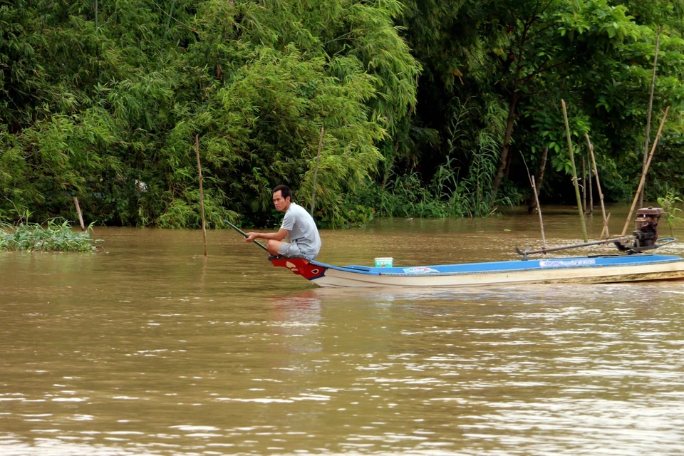 Người dân xã Vĩnh Lộc (An Phú, An Giang) tranh thủ con nước về thả lọp bắt cá. (Ảnh: Công Mạo/TTXVN)