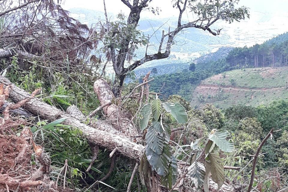 (Ảnh: Đặng Tuấn/TTXVN)